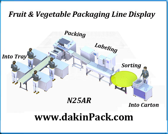 N25 fruits and vegetables packaging line